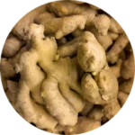 Ginger root ingredient in Bloom and Balance Bust Bloom product