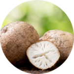 Pueraria Mirifica ingredient in Bloom and Balance Bust Bloom product